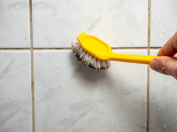 Trusted Riverton, WY Mold Remediation Experts