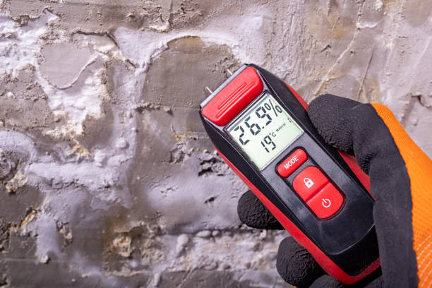 Best Residential Mold Remediation in Riverton, WY