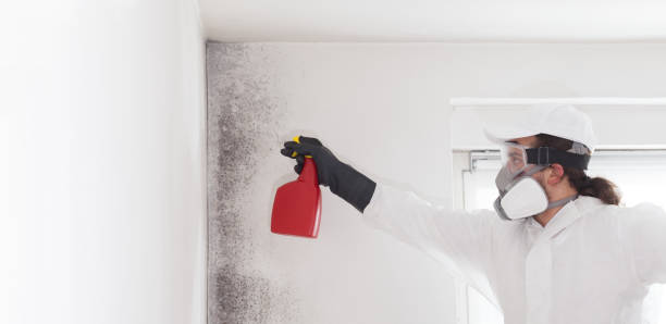 Best Mold Testing and Inspection Services in Riverton, WY