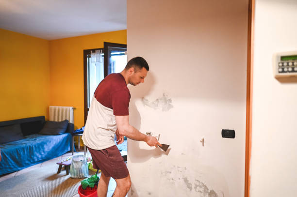 Best Mold Remediation for Schools in Riverton, WY