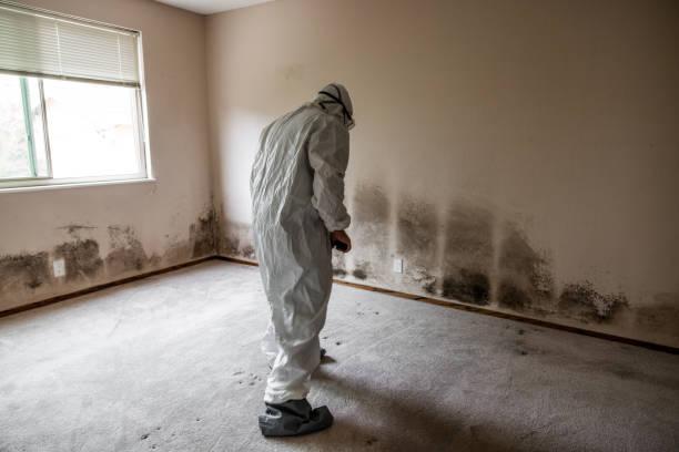 Best Bathroom Mold Remediation in Riverton, WY